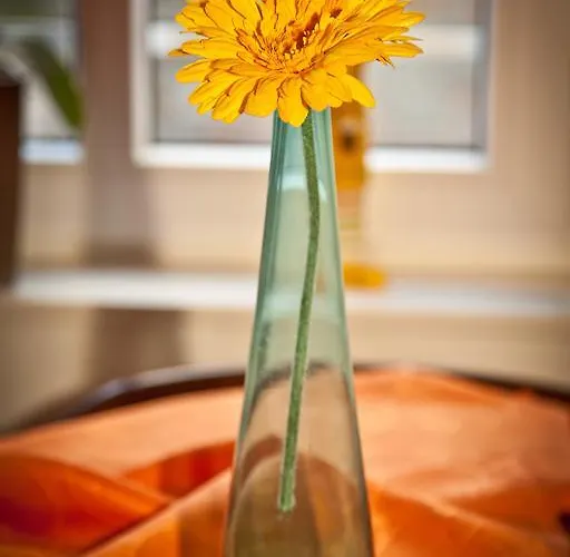 Appartement Pilse 3 *